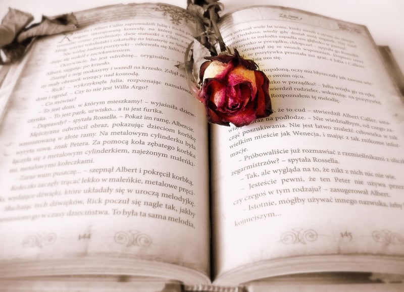 The Time Machine Book