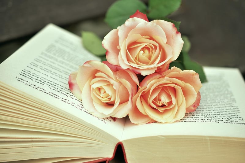 Outlander Books